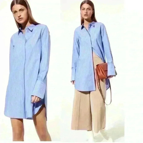 Aritzia Babaton Blue White stripes Carleton Poplin  Shirt Dress Tunic size M - Picture 1 of 13